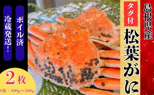 ボイル松葉蟹500gサイズ2枚セット！ ずわいがに姿 500g×2尾（ボイル冷凍）｜【北海道ぎょれん｜お