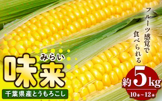 農家直送 とうもろこし 味来 約 5㎏（ 10 ～ 12 本）7月上旬から