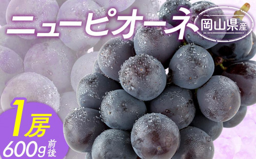 ふるさと納税 里庄町 岡山県産　ニューピオーネ　600g×1房 ふるさと納税ぶどう 2025年先行予約 ニューピオーネ 1房 約600g 岡山