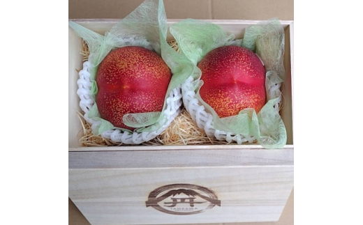 yRRszcl֍ō̂~蕨ōx25xނȂΓxVg[lN^2026N8{y1468768z