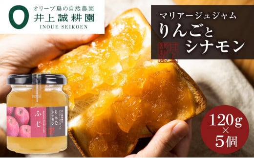 y쌧z㐽k 񂲂ƃVĩW(ӂ)5Zbg