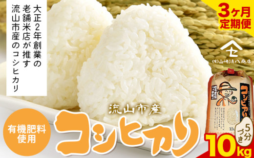 ytRszy3zRVqJ  10kgs\݌̗o׊Jnt  L@엿 5t st-p