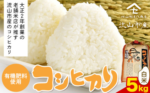 ytRszRVqJ  5kgs30ȓɔ\(yj)t L@엿  st-p