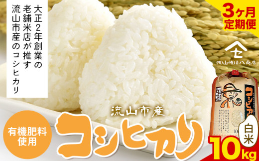 ytRszy3zRVqJ  10kgs\݌̗o׊Jnt  L@엿  st-p