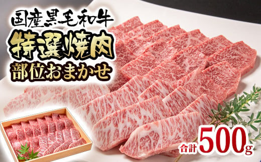 黒毛和牛 希少部位を含む特選焼肉 500g＜1.5-223＞焼肉用 牛肉 - 宮崎県西都市｜ふるさとチョイス - ふるさと納税サイト