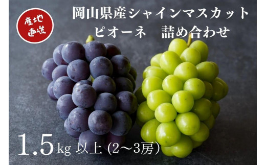 yRRszI VC}XJbgEj[sI[l 2`3[ v1.5kgȏ l Yn ̂ Ԃǂ  Kawahara Green Farm RY 2026N | t[c ʕ  VC}X