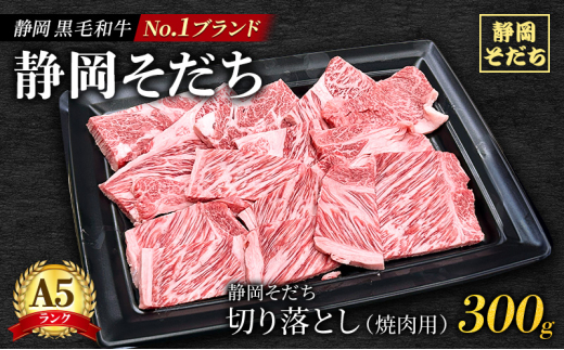 yÉcsz[5695-1684]É  a uh u É v ؂藎Ƃ 300giēpj