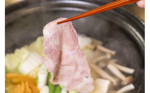 y쌧JzJ؂̃XCX1kgiԂԗpj