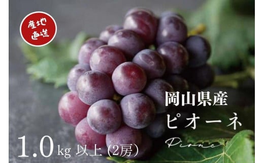 yRRszI j[sI[l 2[ v1.0kgȏ Yn ̂ Ԃǂ  Kawahara Green Farm RY 2026N