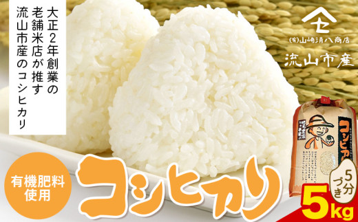 ytRszy2zRVqJ  5kgs\݌̗o׊Jnt  L@엿 5t st-p