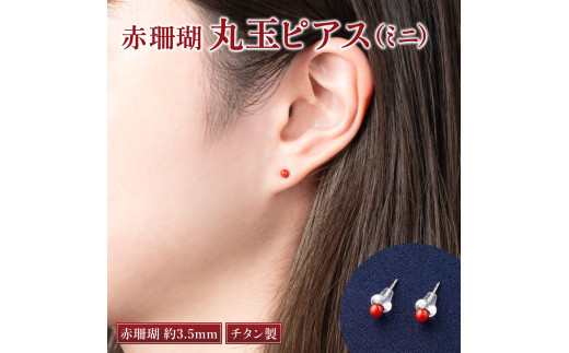 ピアスNo.4403
