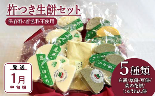 2025年1月中旬発送》杵つき生餅6枚入り×8個セット！白餅・草餅