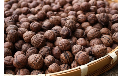 y֒򒬁zk Â̋S1kg