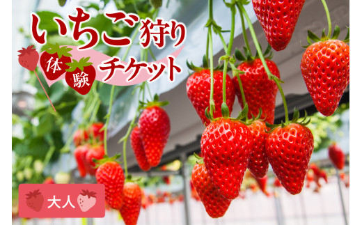 2026年1月～実施】いちご狩りチケット 大人（中学生以上）1名様 - 愛知