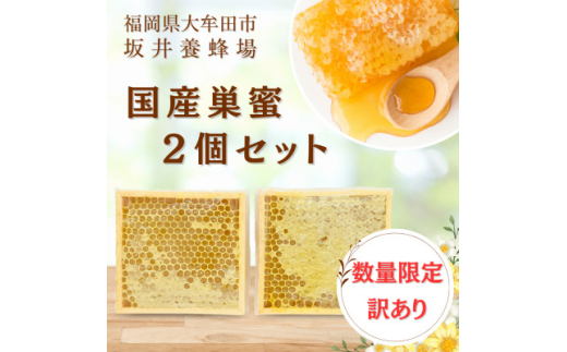 日本蜜蜂の巣蜜 百花蜜 (コムハニ)800g 日本みつばち巣蜜【バージン