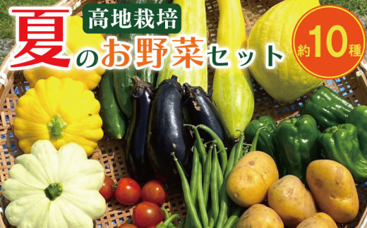 sd1_e0e9a3782b559640eb2c612c58
