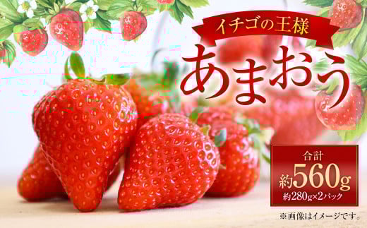 【福岡県太宰府市】福岡県産 あまおう 約280g×2パック 合計560g 果物 くだもの フルーツ 苺 いちご イチゴ ストロベリー デザート 福岡県 太宰府市【2026年1月上旬〜4月上旬発送予定】