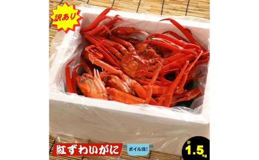 y挧Ďqsz󂠂 ʌ Ԍ@r܂gYCKjZbg@v1.5kg@ (9`)