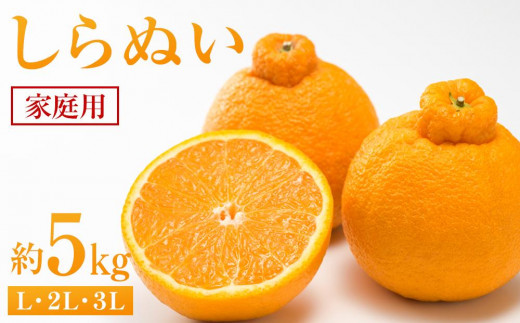 yLszʂ 5kgiƒpjy2026N2甭zysm k t[c ʕ  Hi lC  L sz