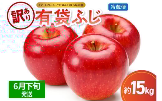 yX܏쌴szy2026N6{zy󂠂z15kgL܂ӂyX}[gtbVTM܂CAEN[ցz