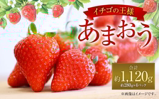 yɕ{szY ܂ 280g×4pbN v1120g ʕ  t[c   C`S Xgx[ fU[g  ɕ{sy2026N1{`4{\z