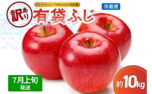 yX܏쌴szy2026N7{zy󂠂z10kgL܂ӂyX}[gtbVTM܂CAEN[ցz