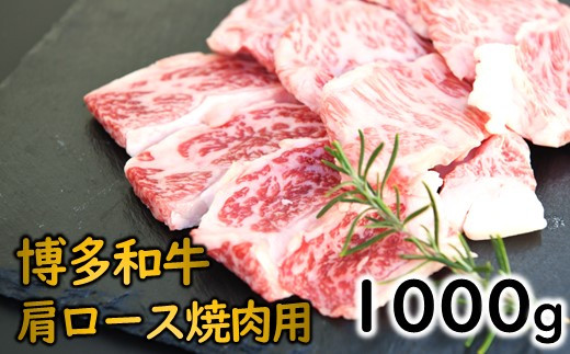 yV{zC175.a[Xēi1000Ojyaz