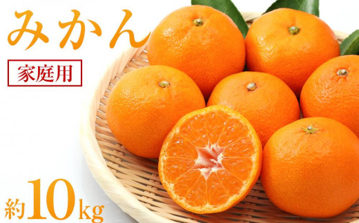 yLsz݂ 10kgiƒpjy2025N11{甭zyk t[c ʕ  Hi lC  L sz