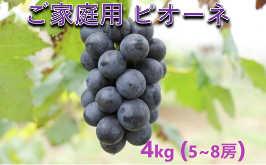 yRsz[5615-0639]Ԃǂ y2026N s\z 󂠂 ƒp sI[l 4kg(5`8[)  t[c R sY ɕ