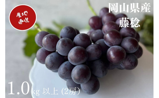 yRʖszԂǂ  2[ v1.0kgȏ Yn ̂ Ԃǂ  R Kawahara Green Farm2025N