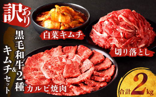 y{茧s_zʌ󂠂⍕јa؂藎ƂJrēL`Zbg(v2kg)     Y_T025-003