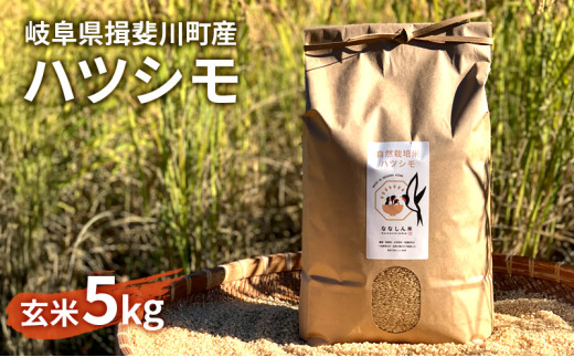 y򕌌K쒬z[5568-0237]RdňĂSȔRăncViāj5kg