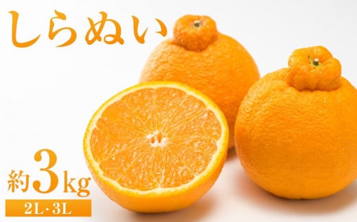 yLszʂ 3kgi2LE3Ljy 2026N2{甭zysm k t[c ʕ  Hi lC  L sz