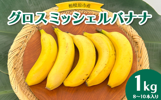 相模原産 グロスミッシェルバナナ 1kg |ばなな バナナ 皮まで 相模原産 グロスミッシェルバナナ 1kg |ばなな バナナ 皮まで