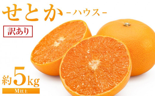 せとか（ハウス）約5kg（М以上）家庭用【2026年3月から発送】 - 広島県