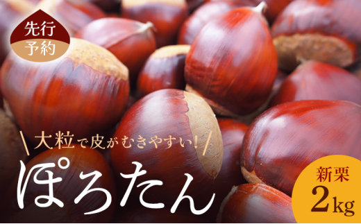 先行予約】皮がむきやすい！新栗2kg(ぽろたん)小諸市 栗 お取り寄せ