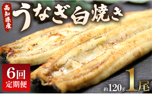 6回定期便】 国産 うなぎ 白焼き 120g 1尾(無頭) うなぎ 魚介