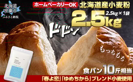ykCszkCY utvu߂vuh pE_[Xm[ipp͕j2.5kg y ӂ邳Ɣ[ lC  LO    t ߂ u