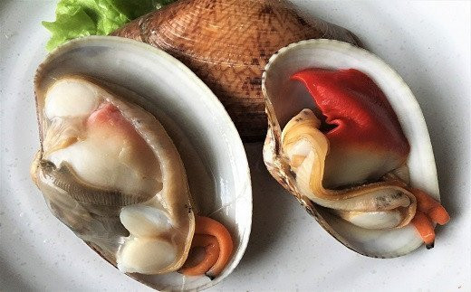 yRh哇z~G聙YɓIԂ܃qLI1yVRzstJnI2026N27ȍ~̂͂