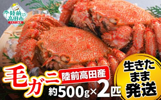 y茧OcszyуKj 500g×2Cz OcY уKj ܂ܔI y  Jj  { NxQ Yn OY z