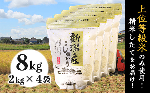 yVٓsz31-K81VYRVqJ8kgi2kg×4܁j