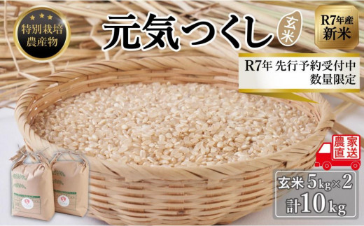 yszyߘa7NxVāzs\t ʌ (ʍ͔|_Y)C 5kg×2 (v10kg)