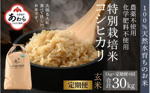 R6 玄米コシヒカリ 30kg 茨城県産(風のひかり | お米通販サイト R6 玄米コシヒカリ 30kg 茨城県産(風のひかり | お米通販サイト