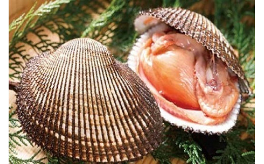 yRh哇z~G聙h哇YVRIktԊLQystJnI2026N124ȍ~̂͂z