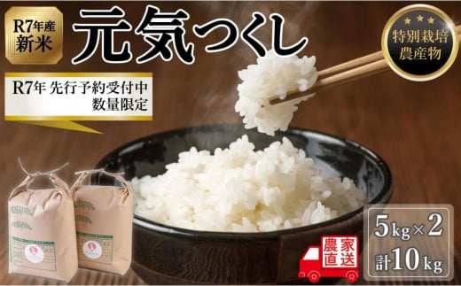 yszyߘa7NxVāzs\t ʌ (ʍ͔|_Y)C 5kg×2 (v10kg)