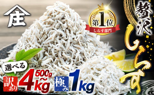 しらす 4kg ( 1kg × 4箱 ) 訳あり 冷凍 ちりめん かちり しらす干し 減塩 釜揚げ ごはん 丼 パスタ チャーハン サラダ 魚 料理  山庄 愛知県 南知多町 師崎 - 愛知県南知多町｜ふるさとチョイス - ふるさと納税サイト