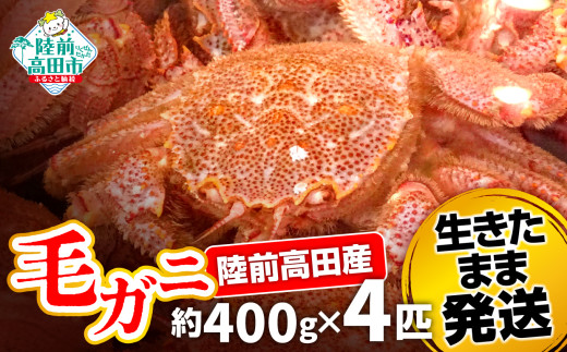 y茧OcszyуKj 400g×4Cz OcY уKj ܂ܔI y  Jj  { NxQ Yn OY z