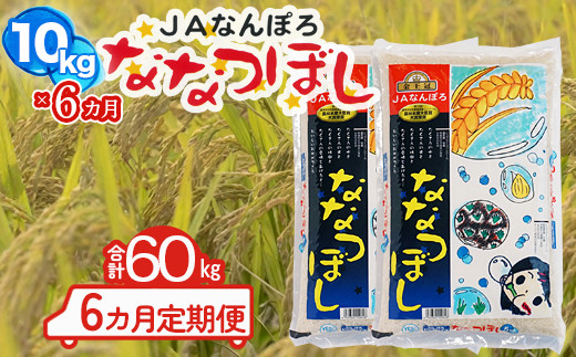 ykCyzkCY ȂȂڂ 60kgy10kg×6Jցzߘa7NY YES!clean kCSx Y kCy NP1-473