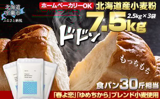 ykCszkCY utvu߂vuh pE_[Xm[ipp͕j7.5kg  y ӂ邳Ɣ[ lC  LO    t ߂ u