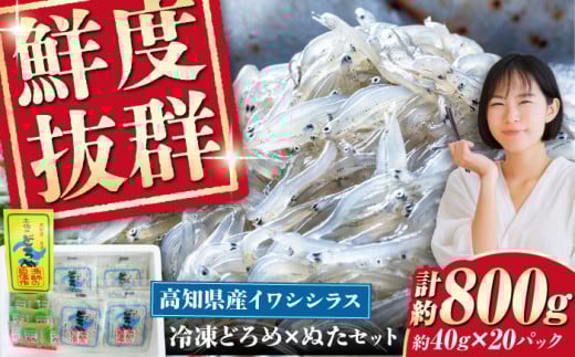 ymmszⓀ 炷iǂ߁j40g×20pbNiʂtj/^pbN CV VX  ǂ ʂ Ⓚ myt쒬Ƌgz [ATGA001]